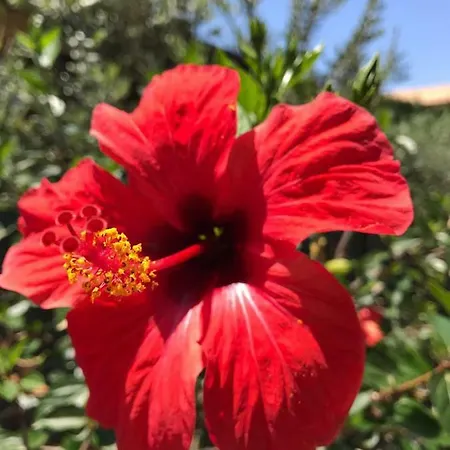 Stunning Sicilian Villa Carini