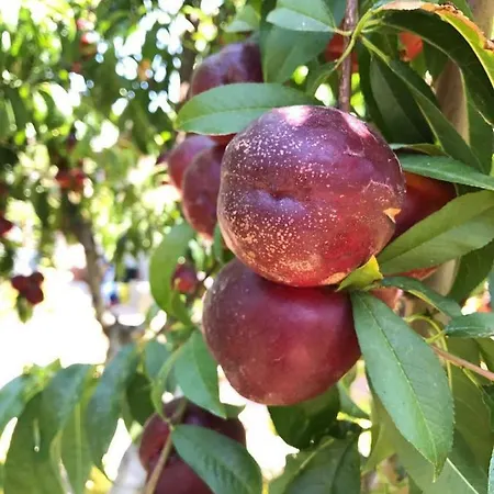 Stunning Sicilian Villa